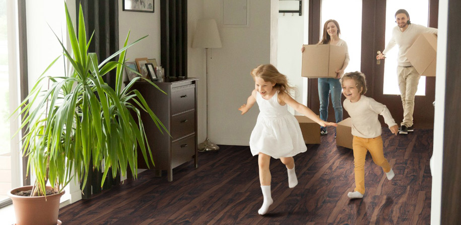 everlife lvt glenridge gluedown Baltimore, MD