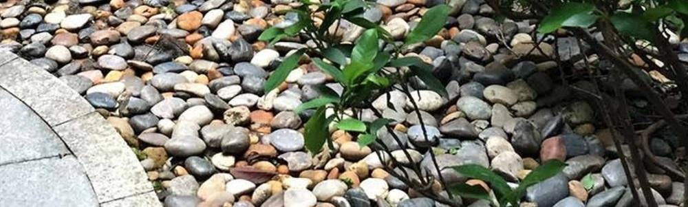 pebbles Baltimore, MD