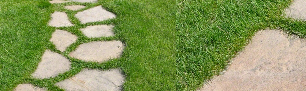 stepping stones Baltimore, MD